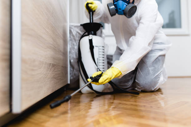 Best Cockroach Control Services  in Crystal Lake, IL