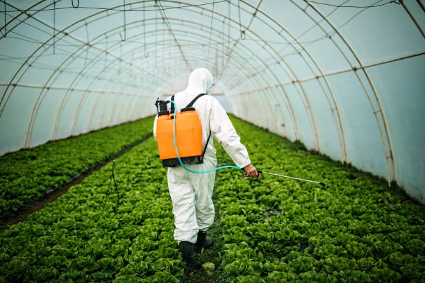 Best Residential Pest Control  in Crystal Lake, IL