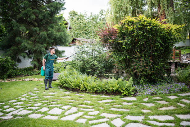 Best Local Pest Control Services  in Crystal Lake, IL