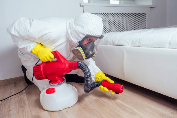 Best Insect Control  in Crystal Lake, IL