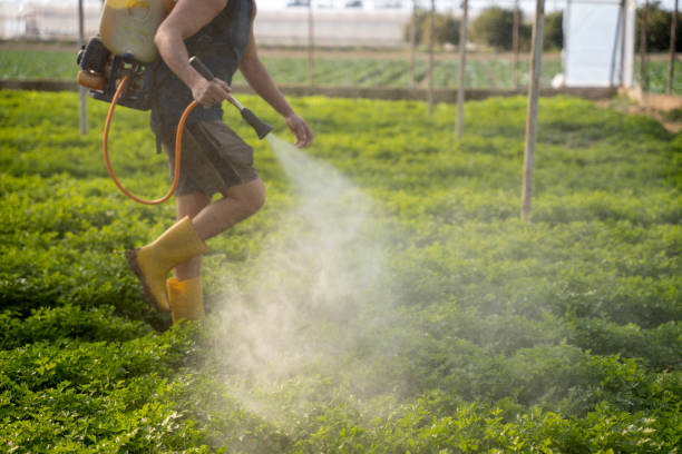 Best Emergency Pest Control  in Crystal Lake, IL