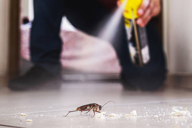 Best Bed Bug Extermination  in Crystal Lake, IL