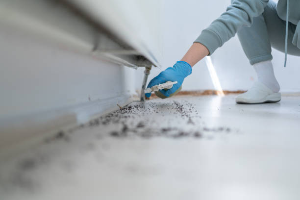 Best Commercial Pest Control Services  in Crystal Lake, IL