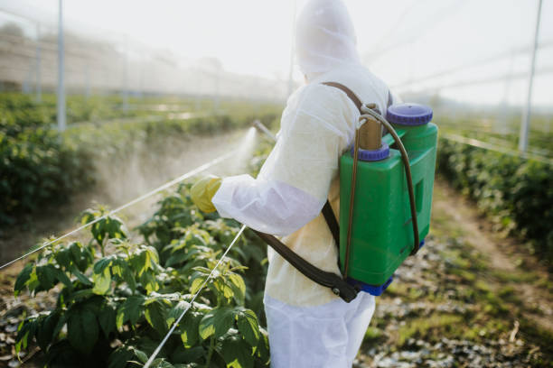 Best Best Pest Control Companies  in Crystal Lake, IL
